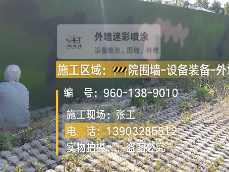 阿拉善外墙迷彩漆材料价约 45-60 元 /k